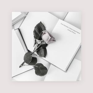 欧美成人精品三区综合A片
